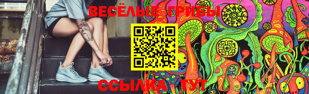 Галлюциногенные грибы Magic Shrooms  Псилоцибиновые грибы Psilocybe  Вход с VPN  Минусинск 